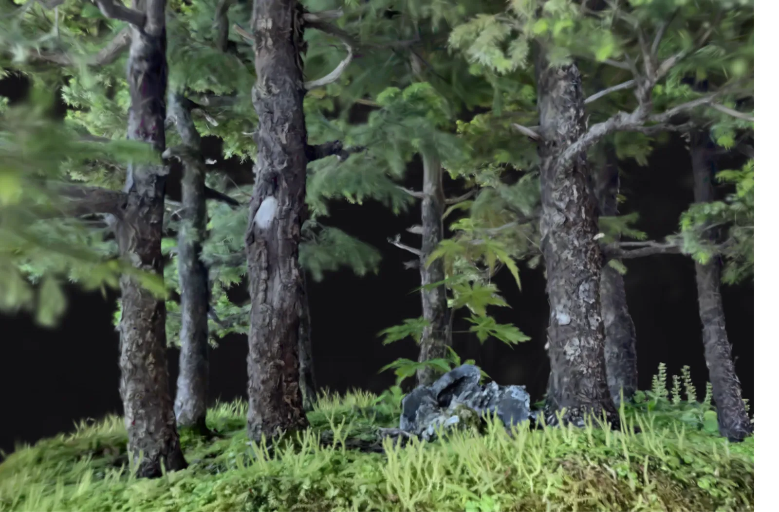 Bonsai forest 3D scan