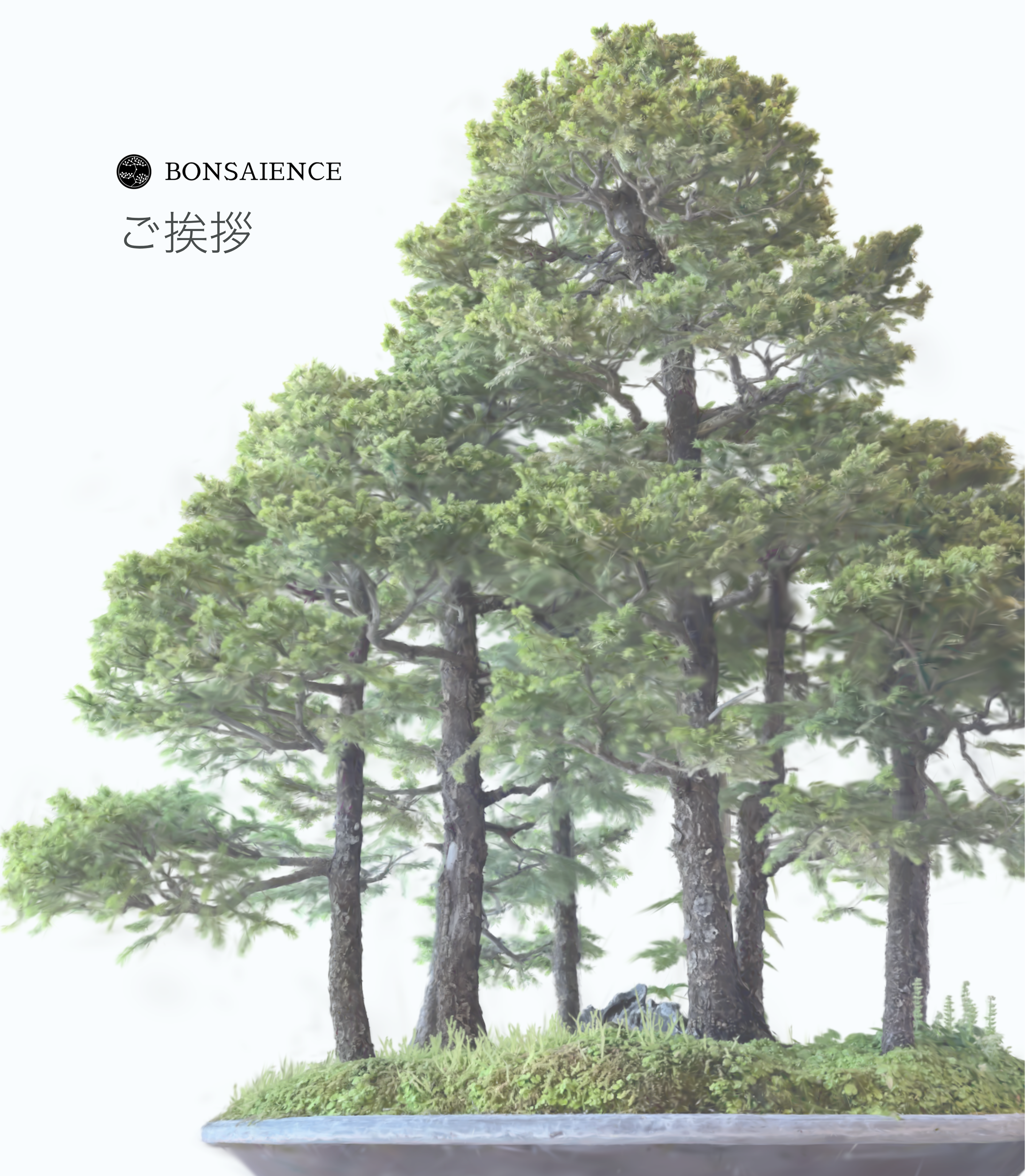 設立1周年のご挨拶